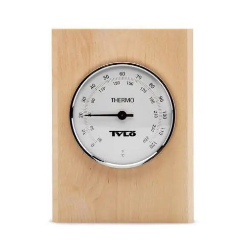 Expressleverans Tylö Classic 90152823 Termometer